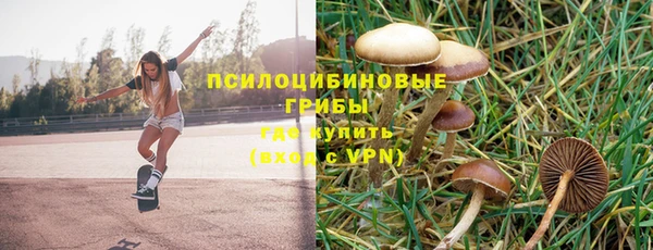 a pvp Балабаново